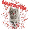 Me encantas
cokki