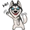 Hi!