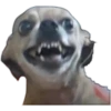 PERRITOS ASADOS 6