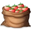 Food - Fruits (Vector) 7