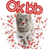 Ok böb
cokki