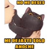 No quiero besos 13