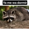 animalitos del bosque 16