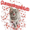 Que me miras pelotudo
col