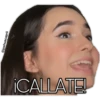 Domelipa 11