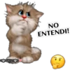Gatitos tiernos 13