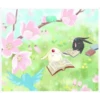 Mokona Couple 16