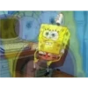Bob 15