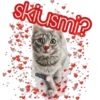 skjusmi?
cokki