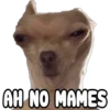 Perritos con frases 20