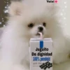 Juguitos 8
