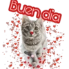 Buen dia
cokki