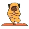 Perros & Yoga 11