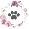 LoveCanino 19