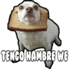 Perritos con frases 21