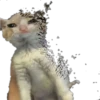 cute cat reactions 13