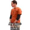 The Big Bang Theory 2 18