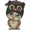 Te perdonas?
Stian