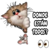 Gatitos tiernos 14