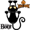 BOO!
HALLOWEN