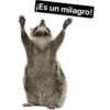 animalitos del bosque 19
