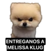 PERRITOS ASADOS 7