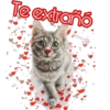 Te extraño
okki