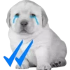 PERRITO PACK 5 15