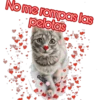 No me rompas las
pelotas
cokki