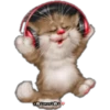 Gatitos tiernos 16
