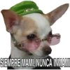 Perritos con frases 23