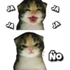 Memes uwu 14 21