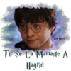 Hogwarts Express 19