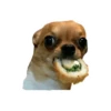 Lomitos (Perritos) de Internet 8
