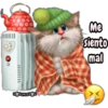 Gatitos tiernos 17