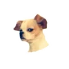 Lomitos (Perritos) de Internet 9