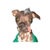 Lomitos (Perritos) de Internet 10