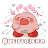 * cokki QUE FLOJERA