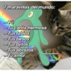7 maravillas del mundo:
-Tü
-Tu carita hermosa
-Tus labios
-Tus besos
-Tuz ojitos
-Tus abrazos
-Tu amor
@esponjaaesthetic