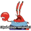 ¿Qué dijiste estúpido?