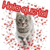 Hola que tal
cokki
