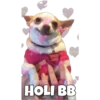 Perritos con frases 24