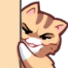 NKO CAT 22