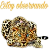 GRUPOS 24