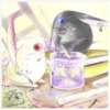 Mokona Couple 21