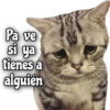 Pa ve
si ya
tienes a
alguién