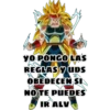YO PONGO LAS
REGLAS Y UDS
OBEDECEN SI
NO TE PUEDES
IR ALV