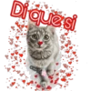 Di que si
cokki
