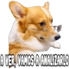 Perritos con frases 25