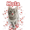 Hola
8